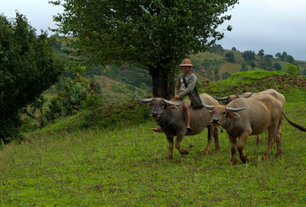 trekking en kalaw