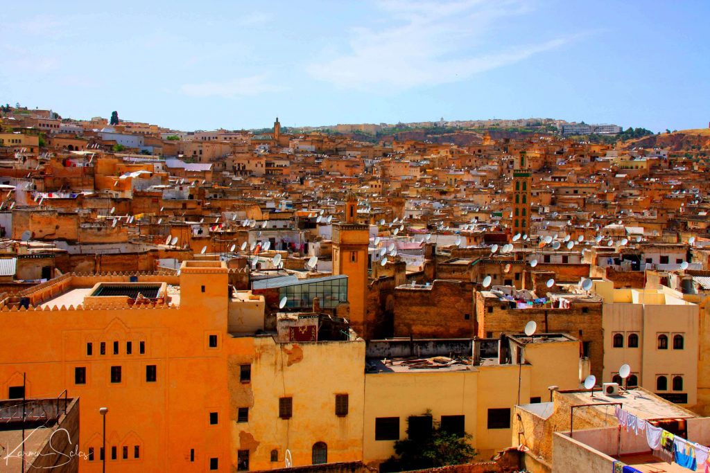 FEZ