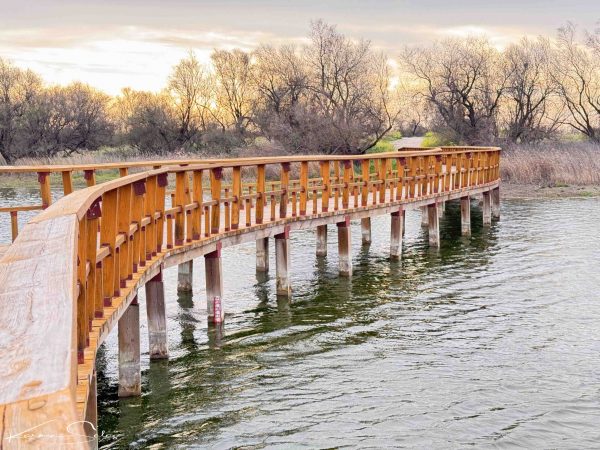 Que ver en Tablas de Daimiel